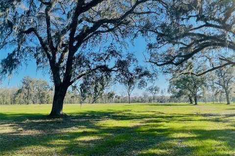 Terreno en venta en Reddick, Florida № 1540919 - foto 1