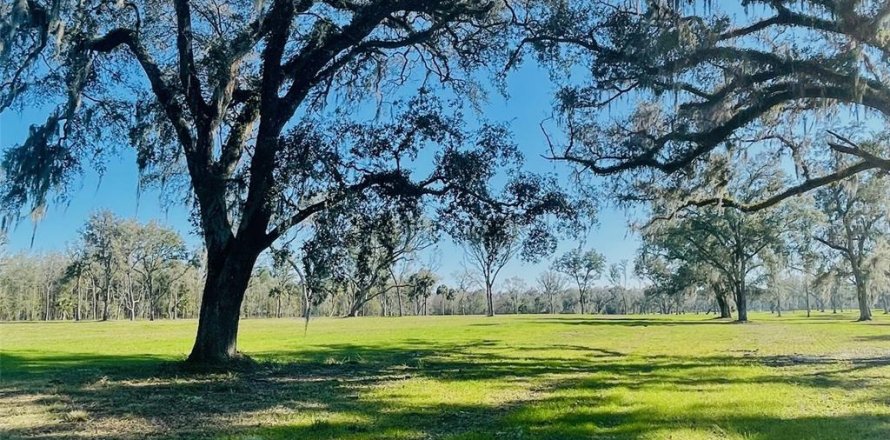 Terreno en Reddick, Florida № 1540919