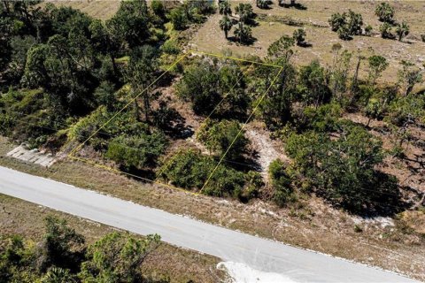 Land in Punta Gorda, Florida № 2228616 - photo 3
