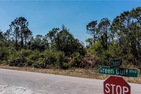 Land in Punta Gorda, Florida № 2228616 - photo 6