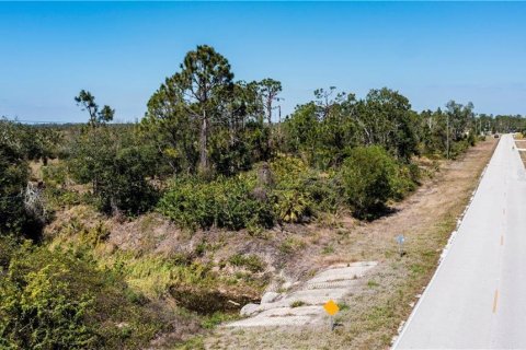 Land in Punta Gorda, Florida № 2228616 - photo 18