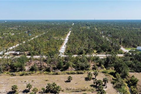 Land in Punta Gorda, Florida № 2228616 - photo 15