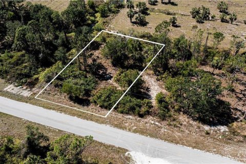 Land in Punta Gorda, Florida № 2228616 - photo 4