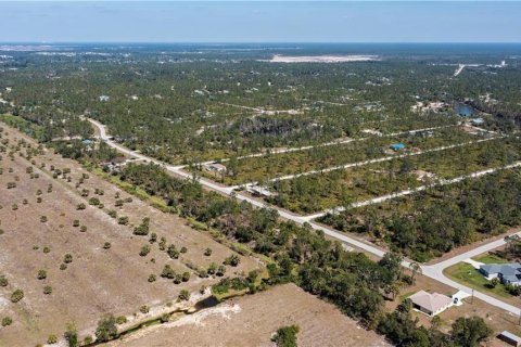 Land in Punta Gorda, Florida № 2228616 - photo 14