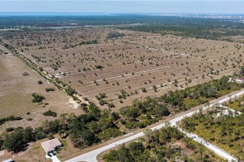 Land in Punta Gorda, Florida № 2228616 - photo 12