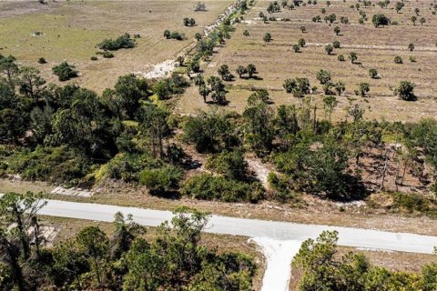Land in Punta Gorda, Florida № 2228616 - photo 10