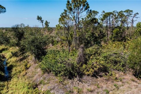 Land in Punta Gorda, Florida № 2228616 - photo 19