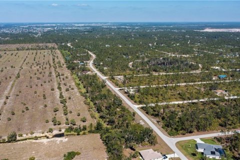 Land in Punta Gorda, Florida № 2228616 - photo 13