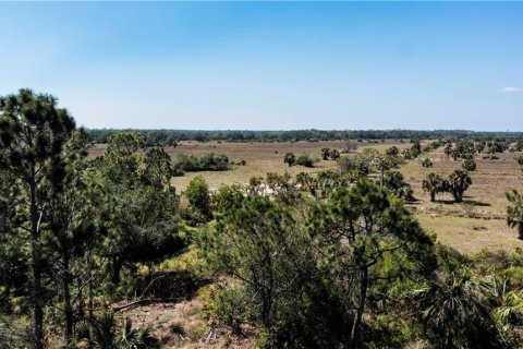 Land in Punta Gorda, Florida № 2228616 - photo 20
