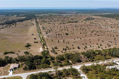 Land in Punta Gorda, Florida № 2228616 - photo 11