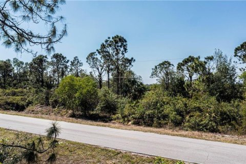 Land in Punta Gorda, Florida № 2228616 - photo 7