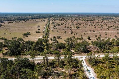 Land in Punta Gorda, Florida № 2228616 - photo 8