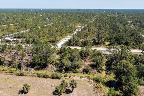 Land in Punta Gorda, Florida № 2228616 - photo 17