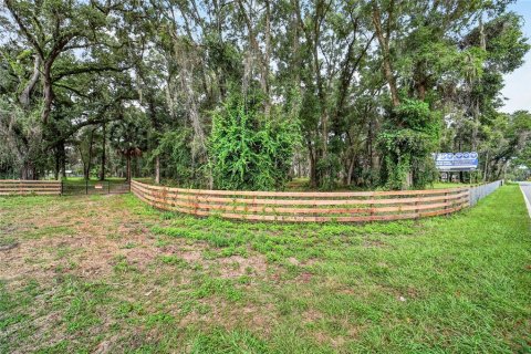 Terreno en venta en Ocala, Florida № 2406838 - foto 6