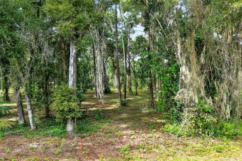 Terreno en venta en Ocala, Florida № 2406838 - foto 22