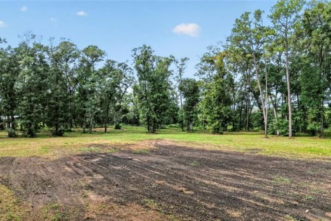 Terreno en venta en Ocala, Florida № 2406838 - foto 13