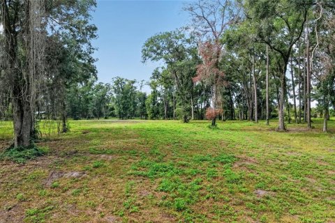 Terreno en venta en Ocala, Florida № 2406838 - foto 9