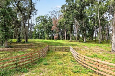 Terreno en venta en Ocala, Florida № 2406838 - foto 3