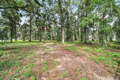 Terreno en venta en Ocala, Florida № 2406838 - foto 8