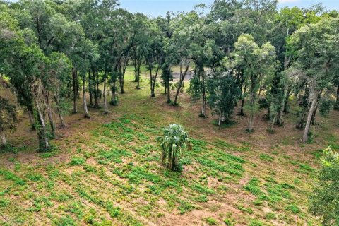 Terreno en venta en Ocala, Florida № 2406838 - foto 12