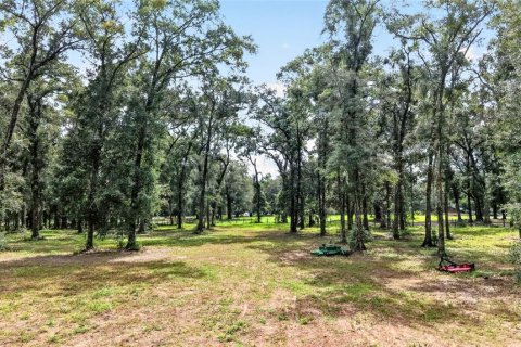 Terreno en venta en Ocala, Florida № 2406838 - foto 17