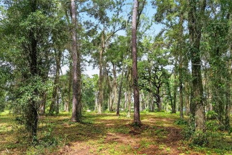 Terreno en venta en Ocala, Florida № 2406838 - foto 14
