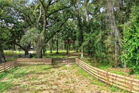 Terreno en venta en Ocala, Florida № 2406838 - foto 4