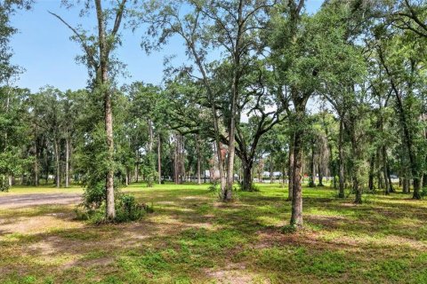 Terreno en venta en Ocala, Florida № 2406838 - foto 16