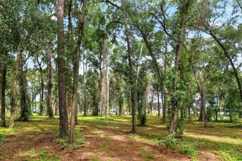 Terreno en venta en Ocala, Florida № 2406838 - foto 15