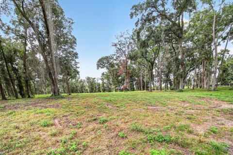 Terreno en venta en Ocala, Florida № 2406838 - foto 10