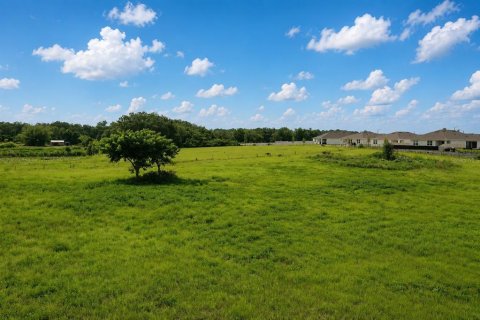 Terrain à vendre à Haines City, Floride № 2203404 - photo 6