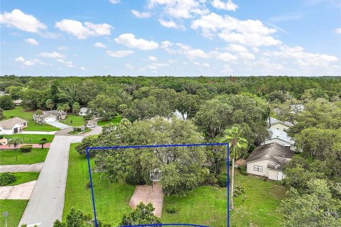 Villa ou maison à vendre à Leesburg, Floride: 2 chambres, 114.27 m2 № 1773546 - photo 29