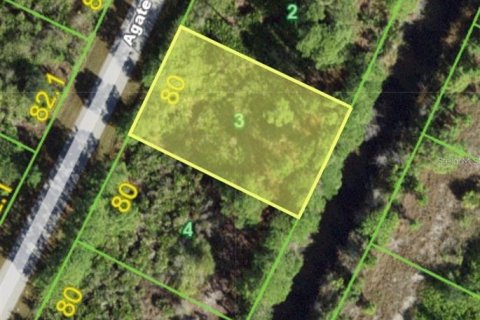 Land in Port Charlotte, Florida № 2159996 - photo 2