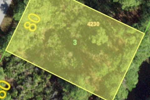 Land in Port Charlotte, Florida № 2159996