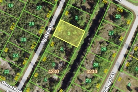 Land in Port Charlotte, Florida № 2159996 - photo 3