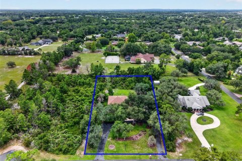 House in Tavares, Florida 4 bedrooms, 347.83 sq.m. № 2279914 - photo 10