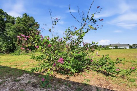Villa ou maison à vendre à Punta Gorda, Floride: 4 chambres, 171.5 m2 № 2204281 - photo 24