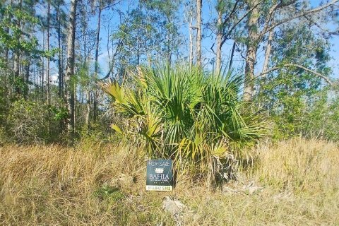 Terreno en venta en Davenport, Florida № 1576764 - foto 9