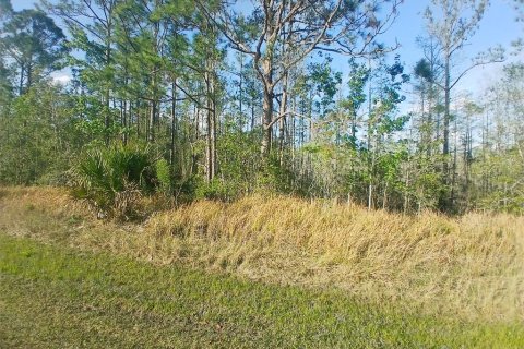 Terreno en venta en Davenport, Florida № 1576764 - foto 12