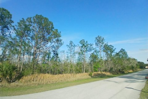 Terreno en venta en Davenport, Florida № 1576764 - foto 6