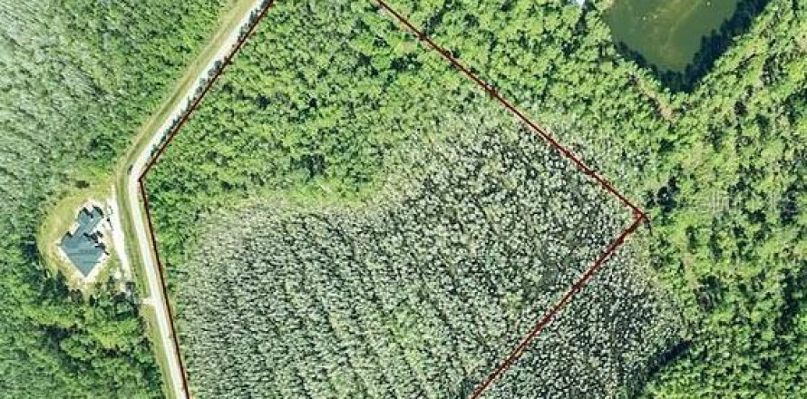 Terreno en Davenport, Florida № 1576764
