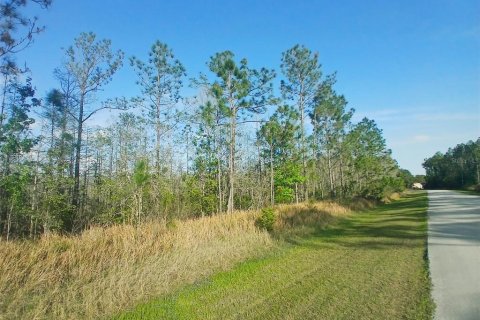 Terreno en venta en Davenport, Florida № 1576764 - foto 11