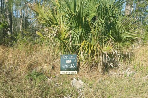Terreno en venta en Davenport, Florida № 1576764 - foto 10