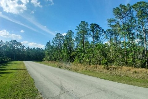 Terreno en venta en Davenport, Florida № 1576764 - foto 8