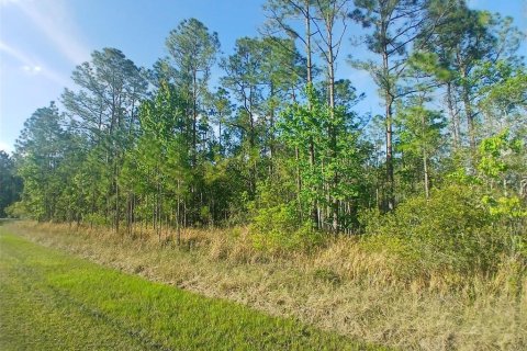 Terreno en venta en Davenport, Florida № 1576764 - foto 16