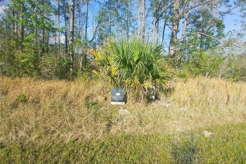 Terreno en venta en Davenport, Florida № 1576764 - foto 14