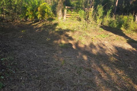 Land in Lehigh Acres, Florida № 2166056 - photo 2