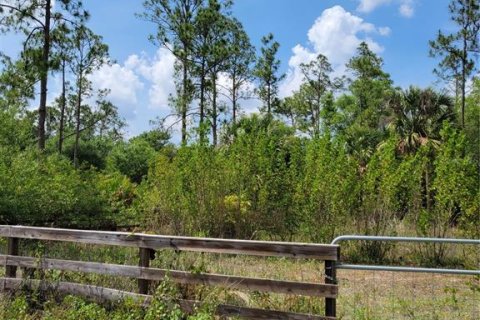 Land in Lehigh Acres, Florida № 2166056 - photo 7