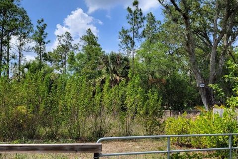 Land in Lehigh Acres, Florida № 2166056 - photo 5