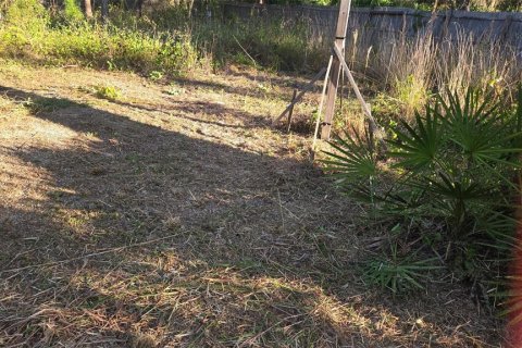 Land in Lehigh Acres, Florida № 2166056 - photo 4